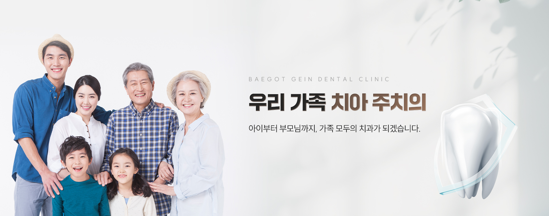 임플란트, 보철 보증제